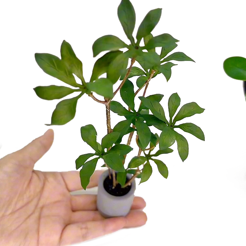 Bonsai Garden Europe - دمية مصغرة نموذج نباتات بوعاء ،