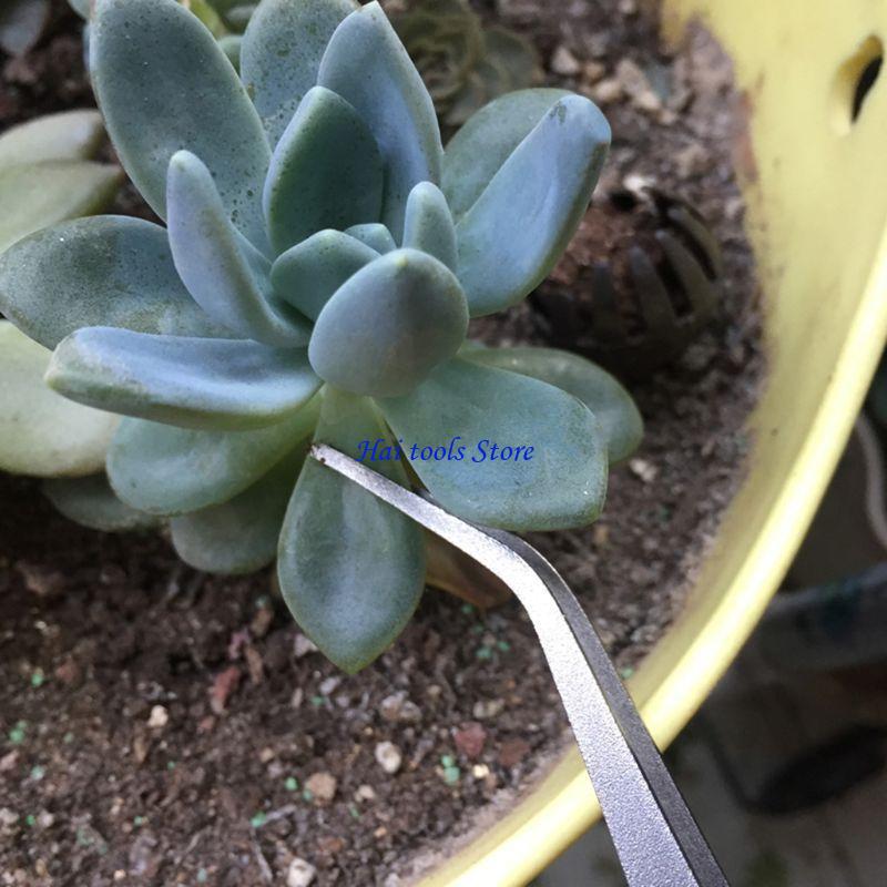 Bonsai Garden Shop - X37E 2 في 1 ملعقة أشعل