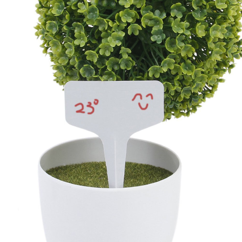 Bonsai Garden Shop - 200 قطعة من علامات النباتات البلاستيكية