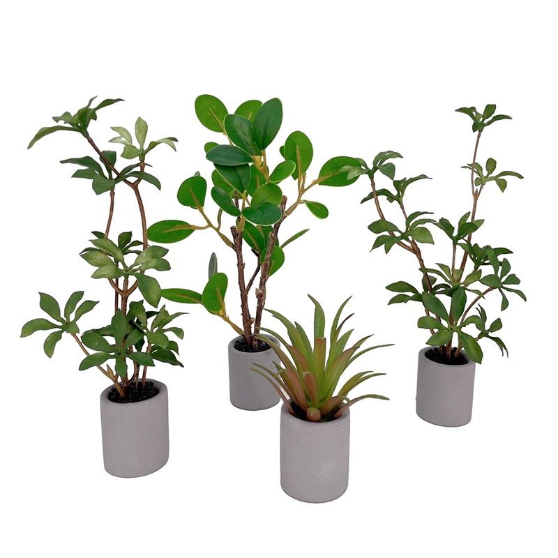 Bonsai Garden Zen - 1:6 دمية مصغرة بوعاء النبات الأخضر
