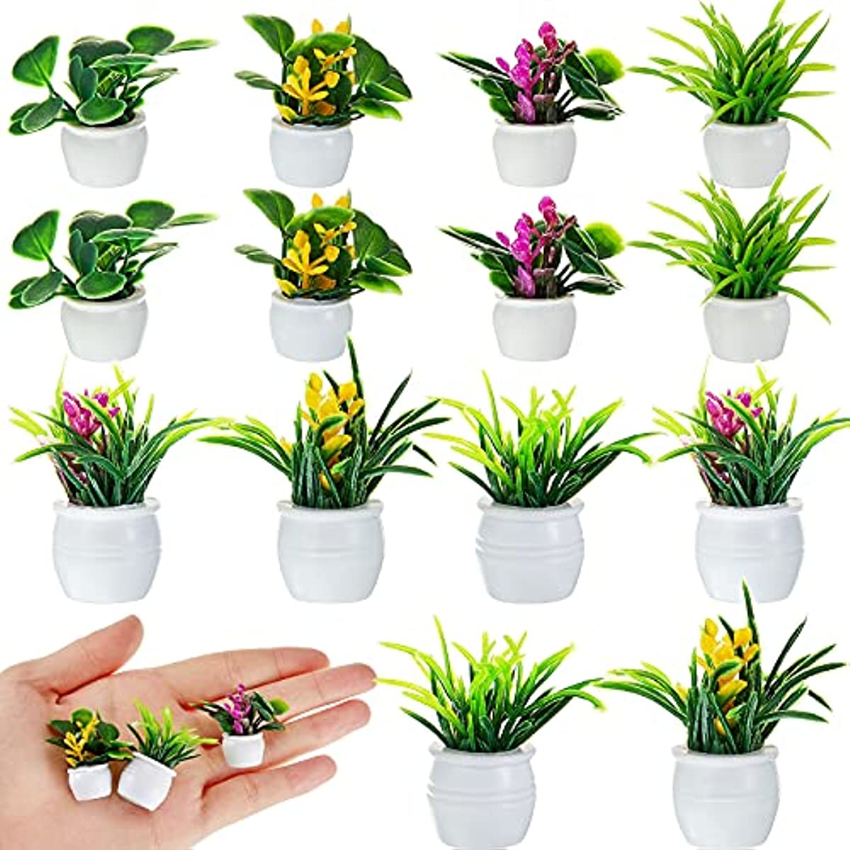 Bonsai Garden Zen - نبات بيت الدمى، نبات بونساي مصغر،