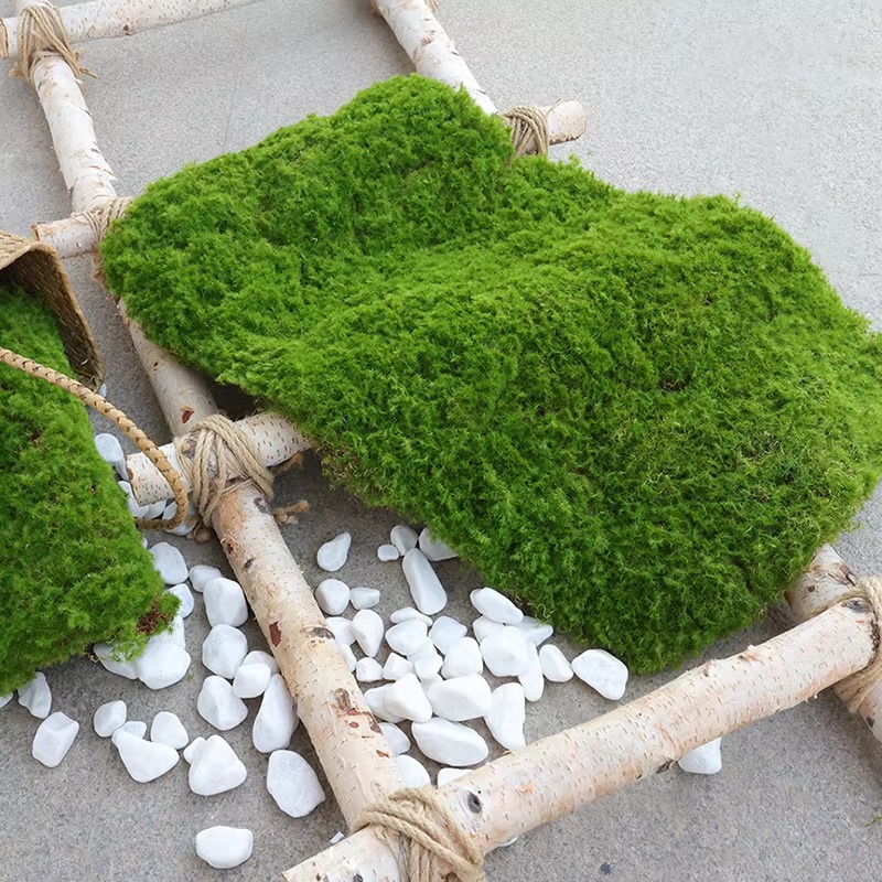 Bonsai Garden Shop - حصيرة العشب الاصطناعي الأخضر محاكاة موس