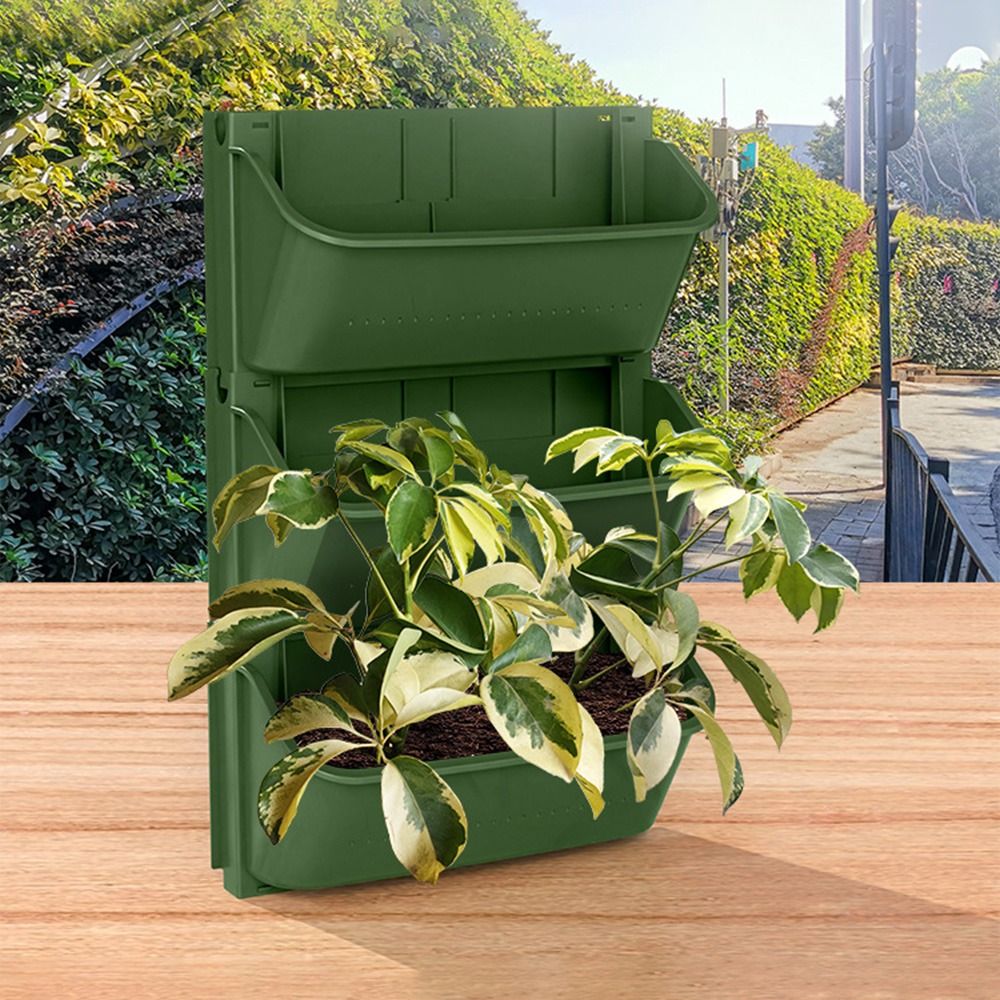 وعاء زهور بلاستيكي معلق للديكو - مراجعة Bonsai Garden Nursery وسعره
