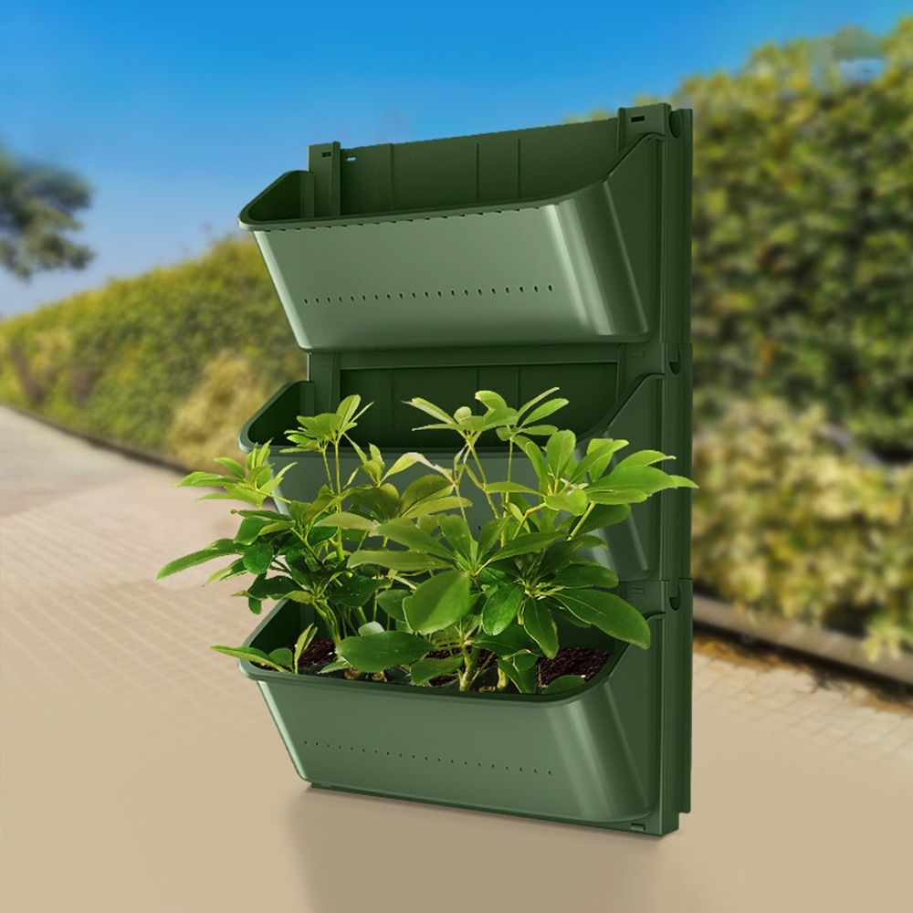 وعاء زهور بلاستيكي معلق للديكو - مراجعة Bonsai Garden Nursery وسعره