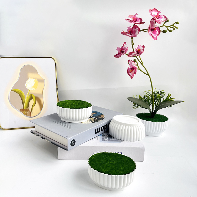 عملية قولبة بالحقن مقاومة للتآ - مراجعة Bonsai Garden Shop وسعره