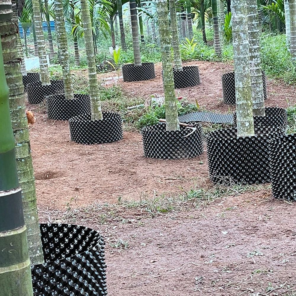طقم واحد متين وسريع التركيب من - مراجعة Bonsai Garden Nursery وسعره