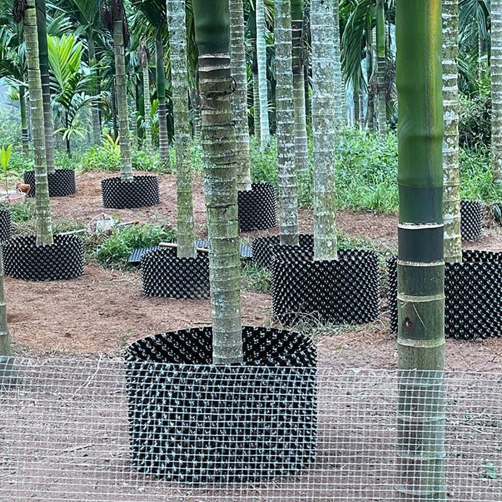 طقم واحد متين وسريع التركيب من - مراجعة Bonsai Garden Nursery وسعره