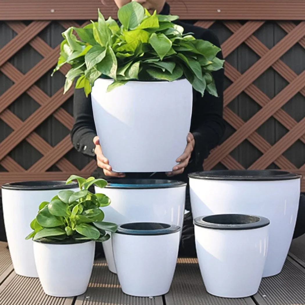 أصيص زهور كسول أصيص نباتات للأ - مراجعة Bonsai Garden Nursery وسعره