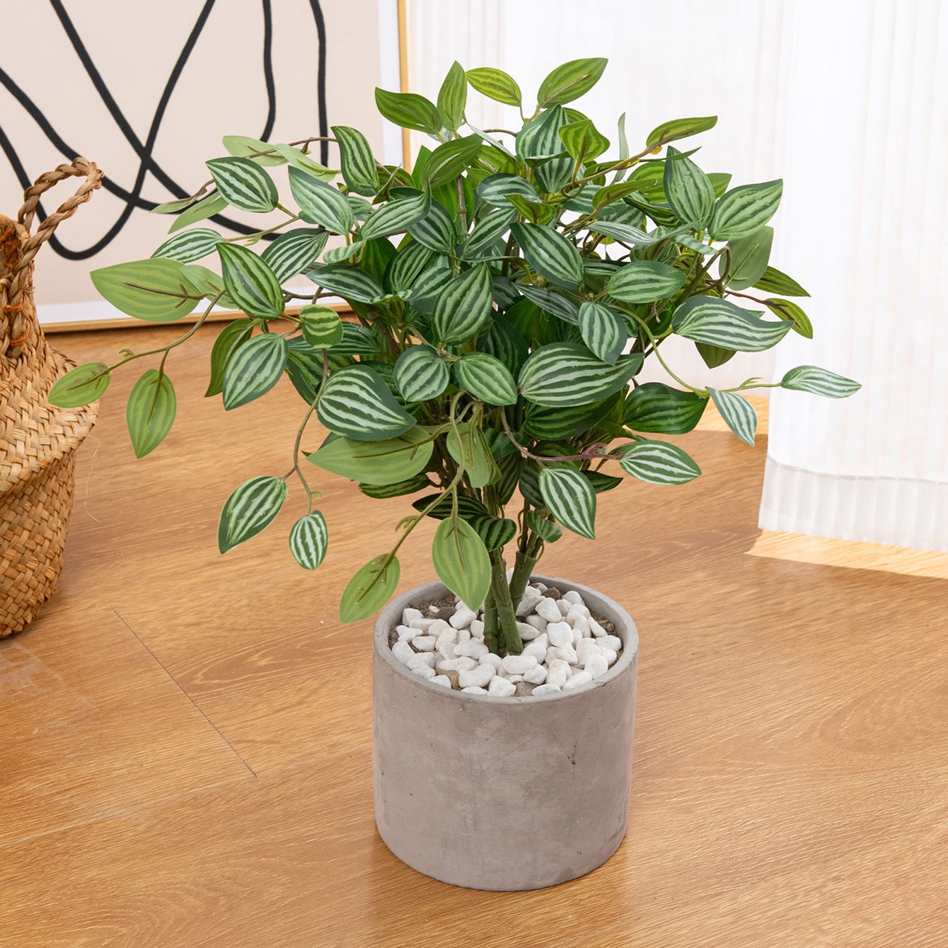 نبات بونساي اصطناعي أخضر للديك - مراجعة Bonsai Garden Table وسعره