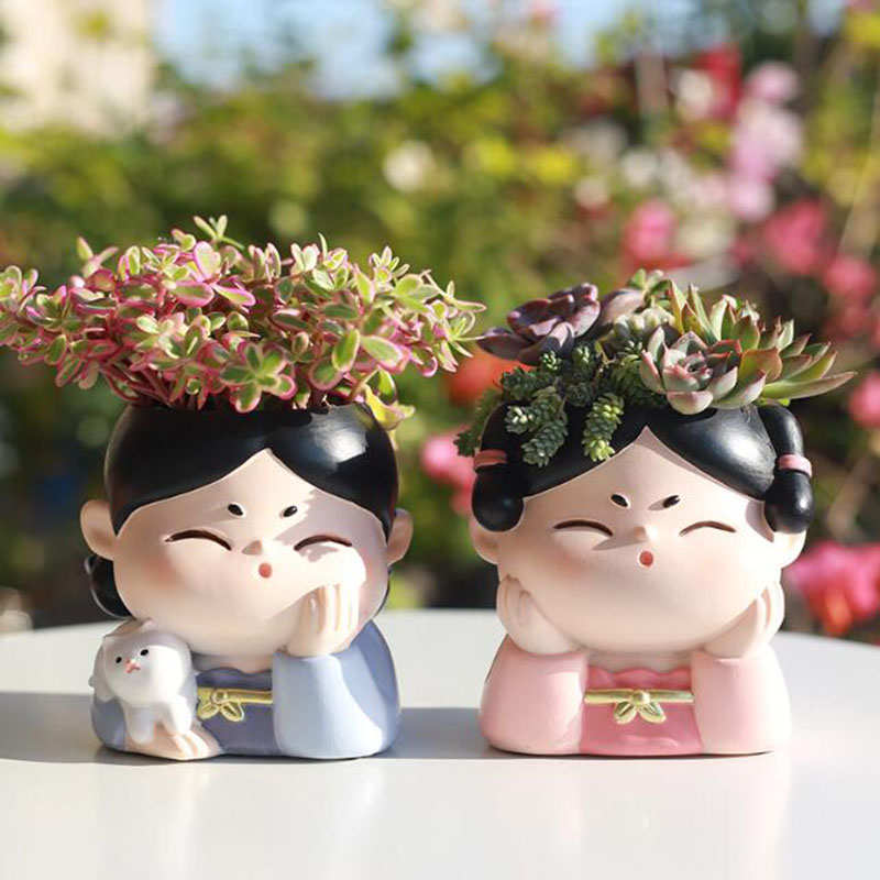 الراتنج سلالة تانغ سيدة الحضان - مراجعة Bonsai Garden Nursery وسعره