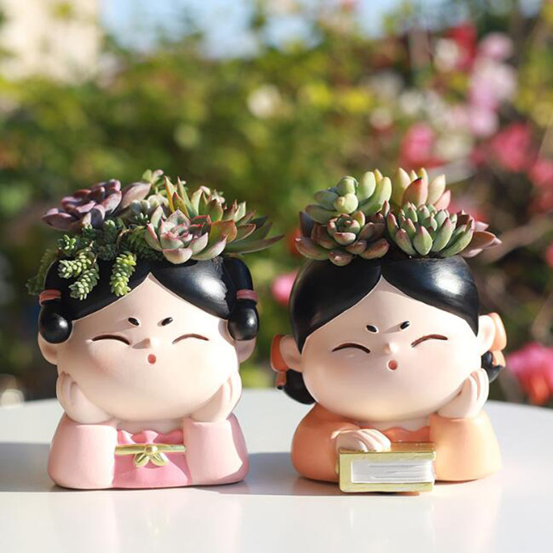 الراتنج سلالة تانغ سيدة الحضان - مراجعة Bonsai Garden Nursery وسعره