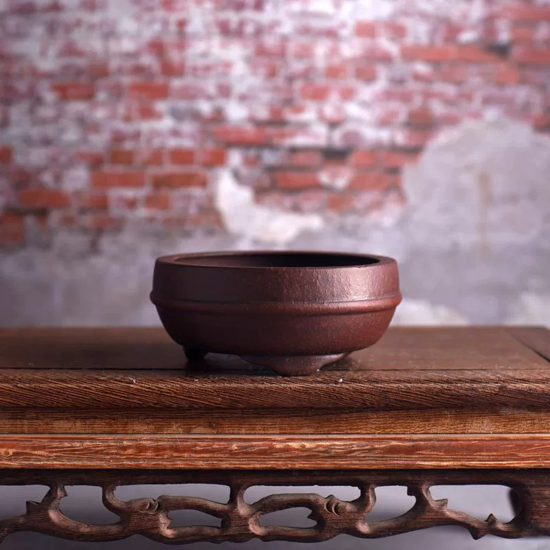 وعاء بونساي دائري من السيراميك - مراجعة Bonsai Garden Table وسعره