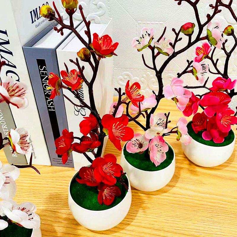 محاكاة زهرة البرقوق وعاء النبا - مراجعة Bonsai Garden Zen وسعره