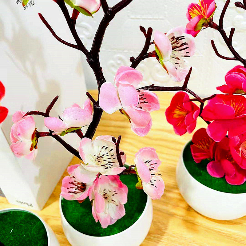 محاكاة زهرة البرقوق وعاء النبا - مراجعة Bonsai Garden Zen وسعره