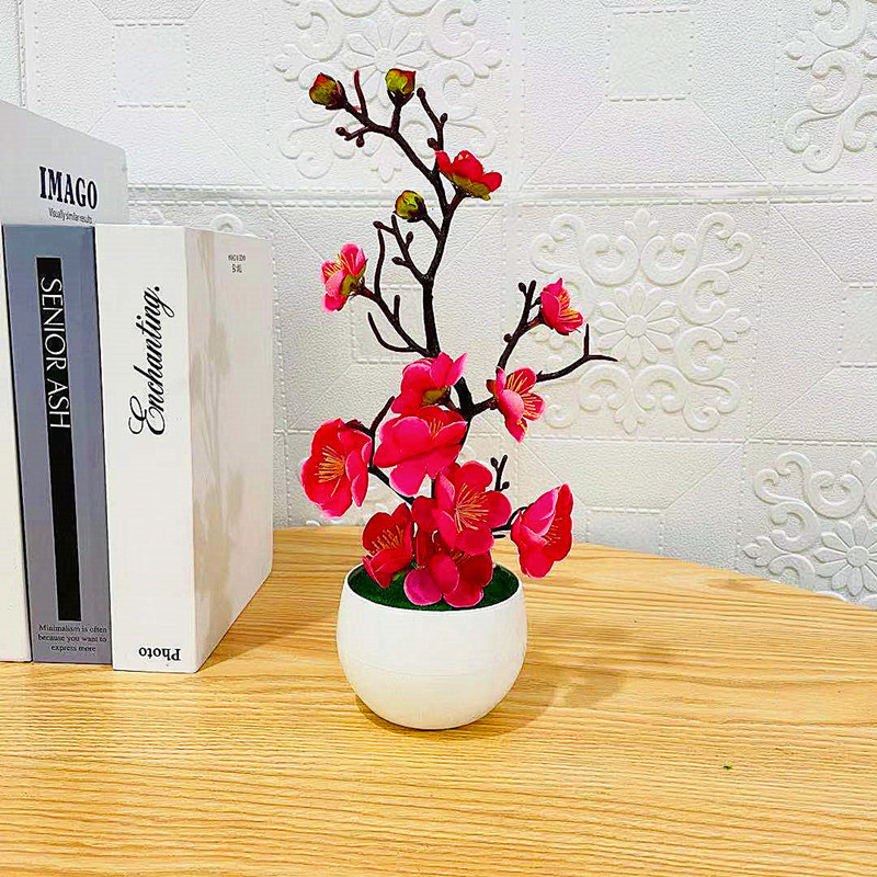 محاكاة زهرة البرقوق وعاء النبا - مراجعة Bonsai Garden Zen وسعره