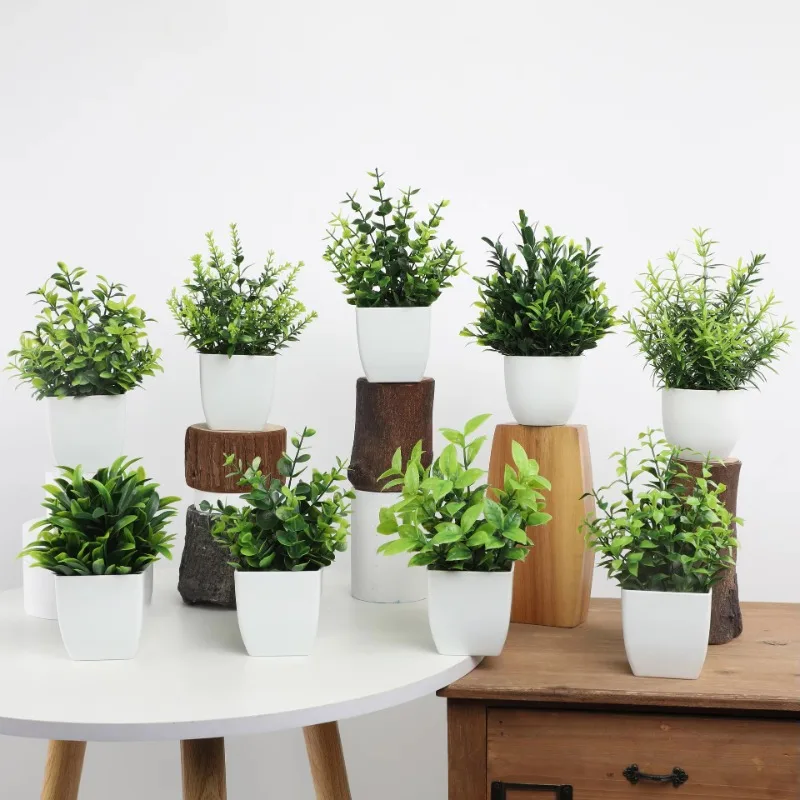 الجملة OEM/ODM نباتات اصطناعية - مراجعة Bonsai Garden Zen وسعره