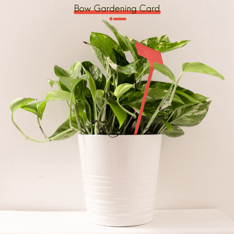 أدوات زراعة الحدائق ABYP 50 قط - مراجعة Bonsai Garden Nursery وسعره