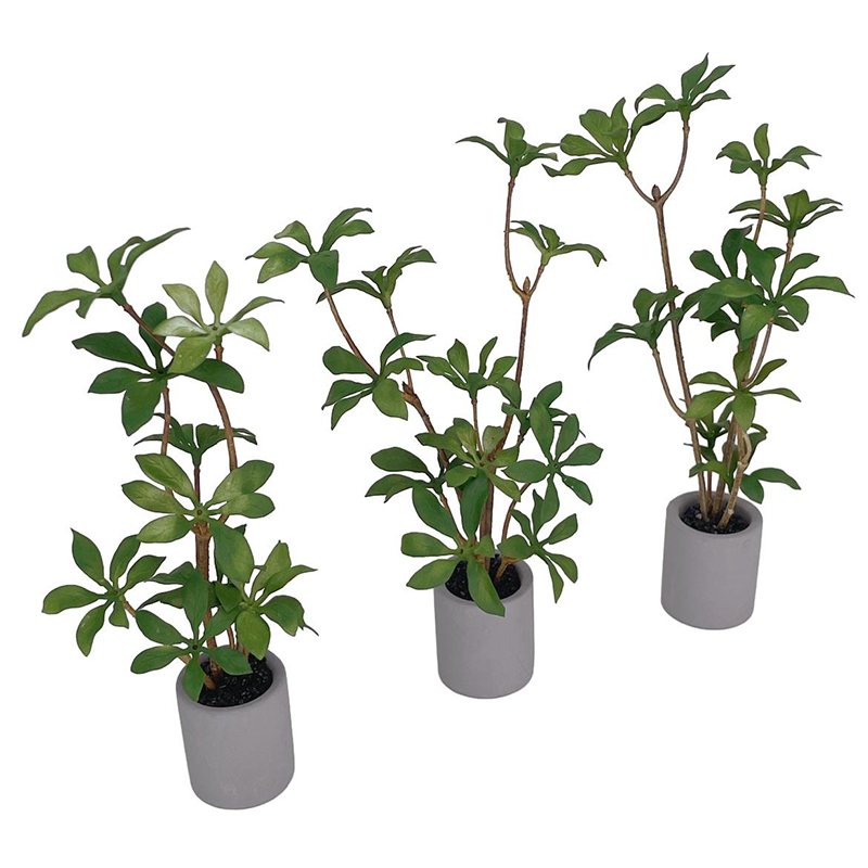 1:6 دمية مصغرة بوعاء النبات ال - مراجعة Bonsai Garden Zen وسعره