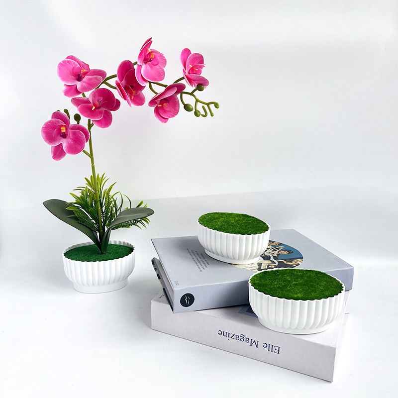أواني زهور اصطناعية مقاومة للت - مراجعة Bonsai Garden Shop وسعره