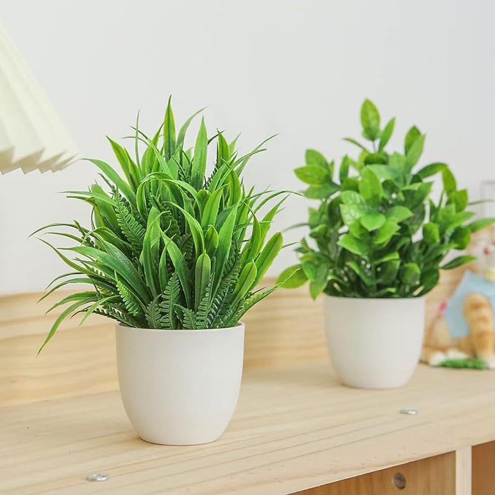 مجموعة من 4 نباتات اصطناعية صغ - مراجعة Bonsai Garden Zen وسعره