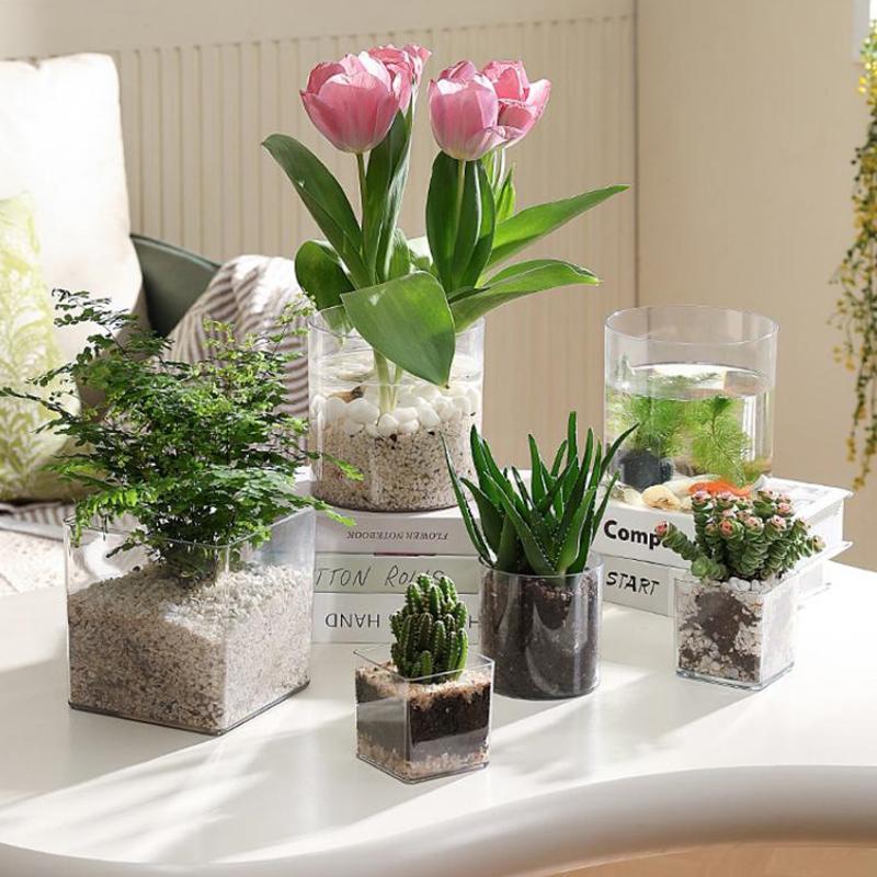 أواني نباتات أكريليك شفافة مرب - مراجعة Bonsai Garden Nursery وسعره