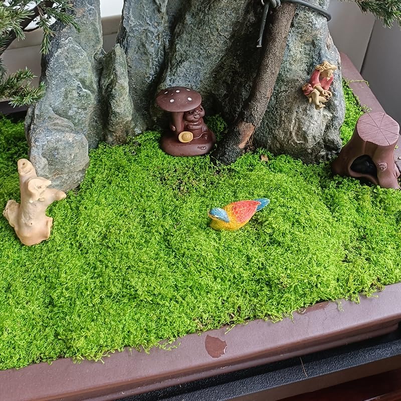 حصيرة العشب الاصطناعي الأخضر م - مراجعة Bonsai Garden Shop وسعره