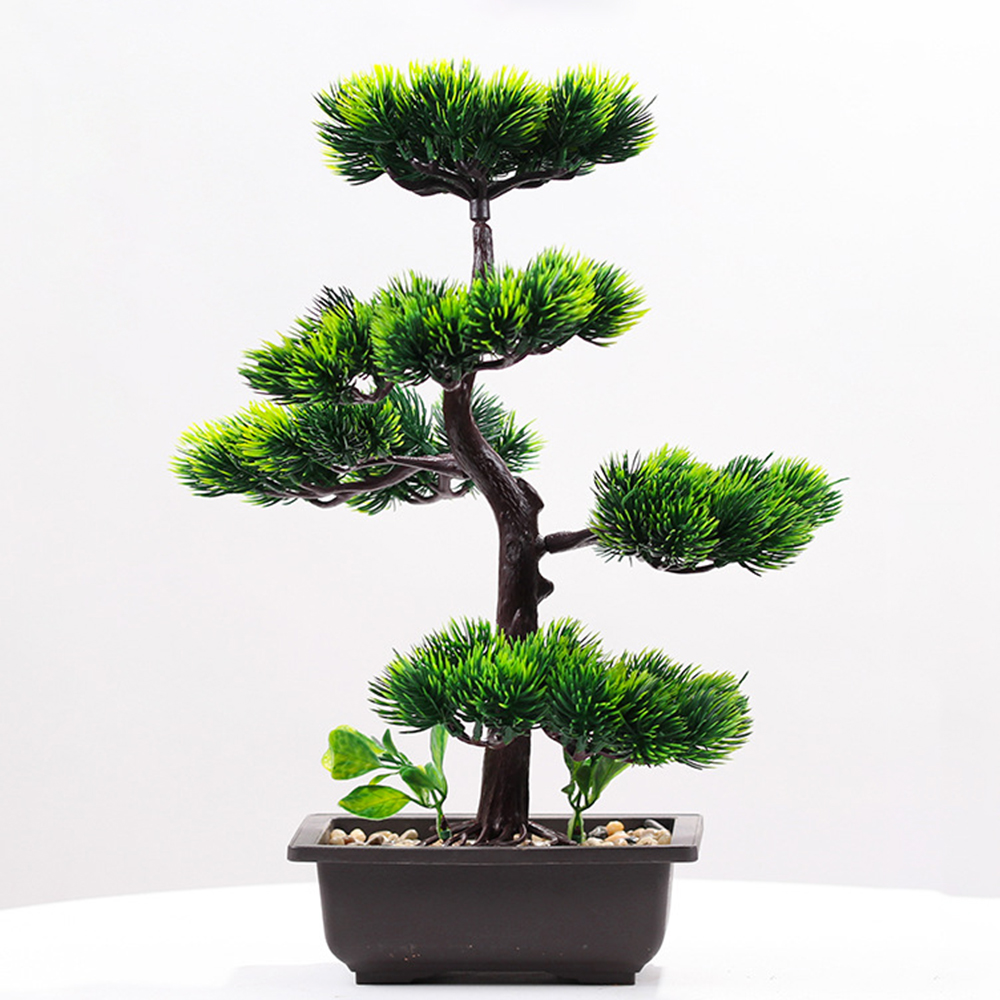 نباتات اصطناعية جمال الصنوبر ف - مراجعة Bonsai Garden Zen وسعره