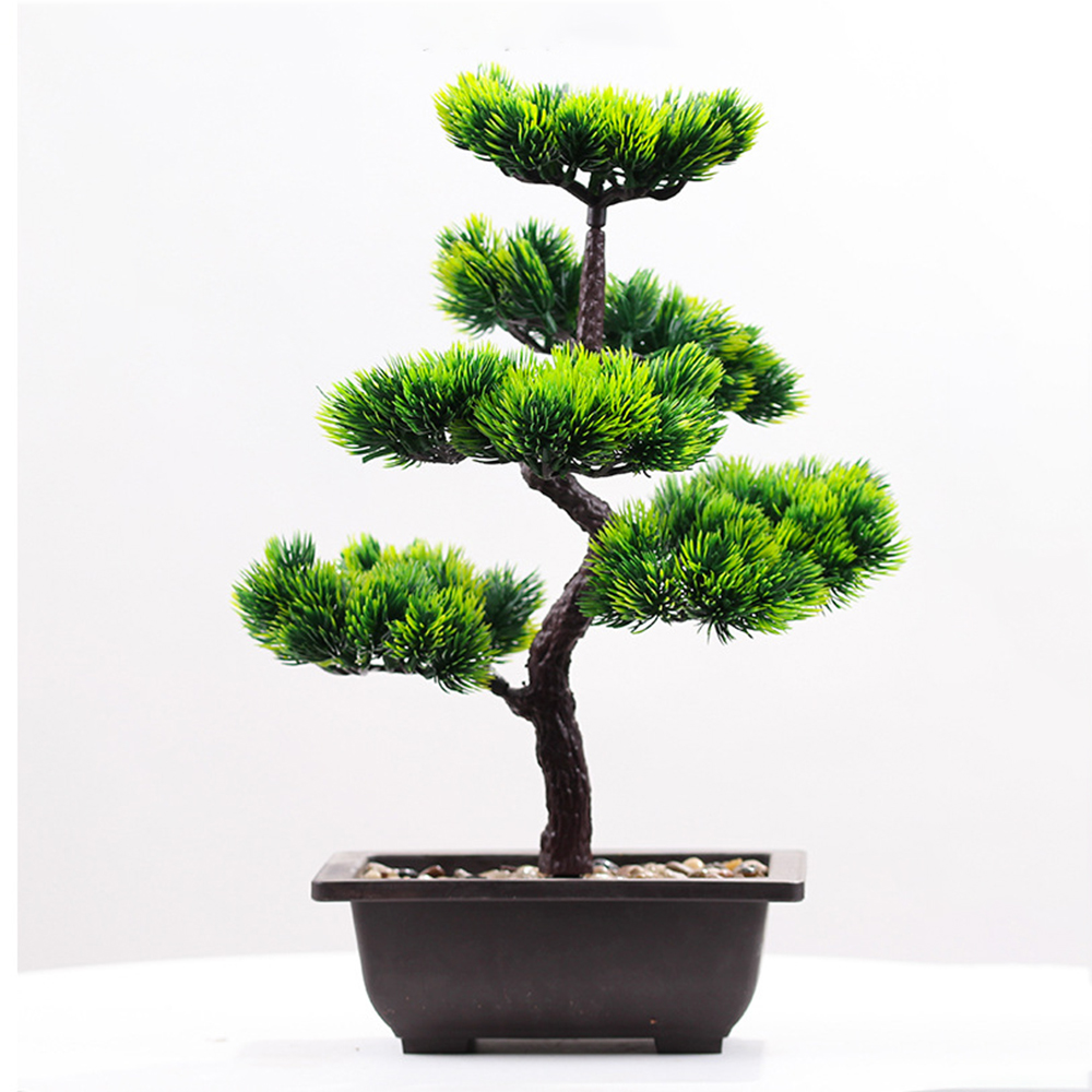 نباتات اصطناعية جمال الصنوبر ف - مراجعة Bonsai Garden Zen وسعره