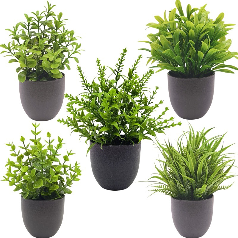 نبات بونساي اصطناعي أخضر، زينة - مراجعة Bonsai Garden Zen وسعره