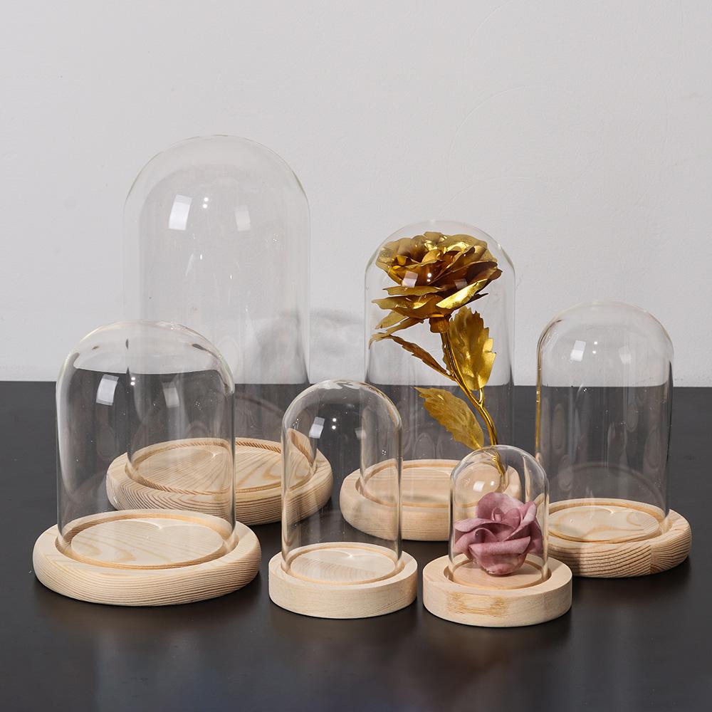 زجاج قاء زجاجي جرة عرض موقف غط - مراجعة Display Stand Wood وسعره