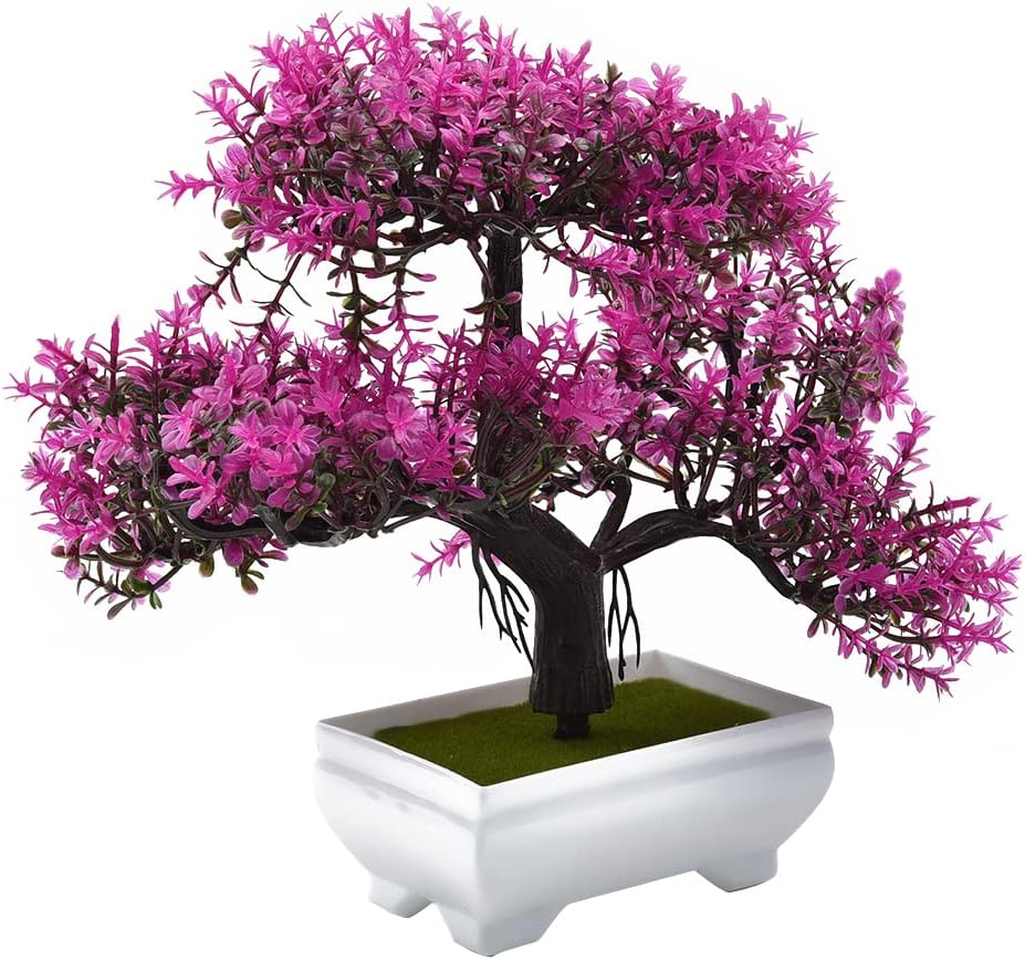 نباتات اصطناعية بونساي نبات صن - مراجعة Bonsai Garden Table وسعره